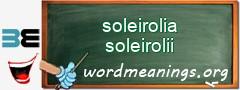 WordMeaning blackboard for soleirolia soleirolii